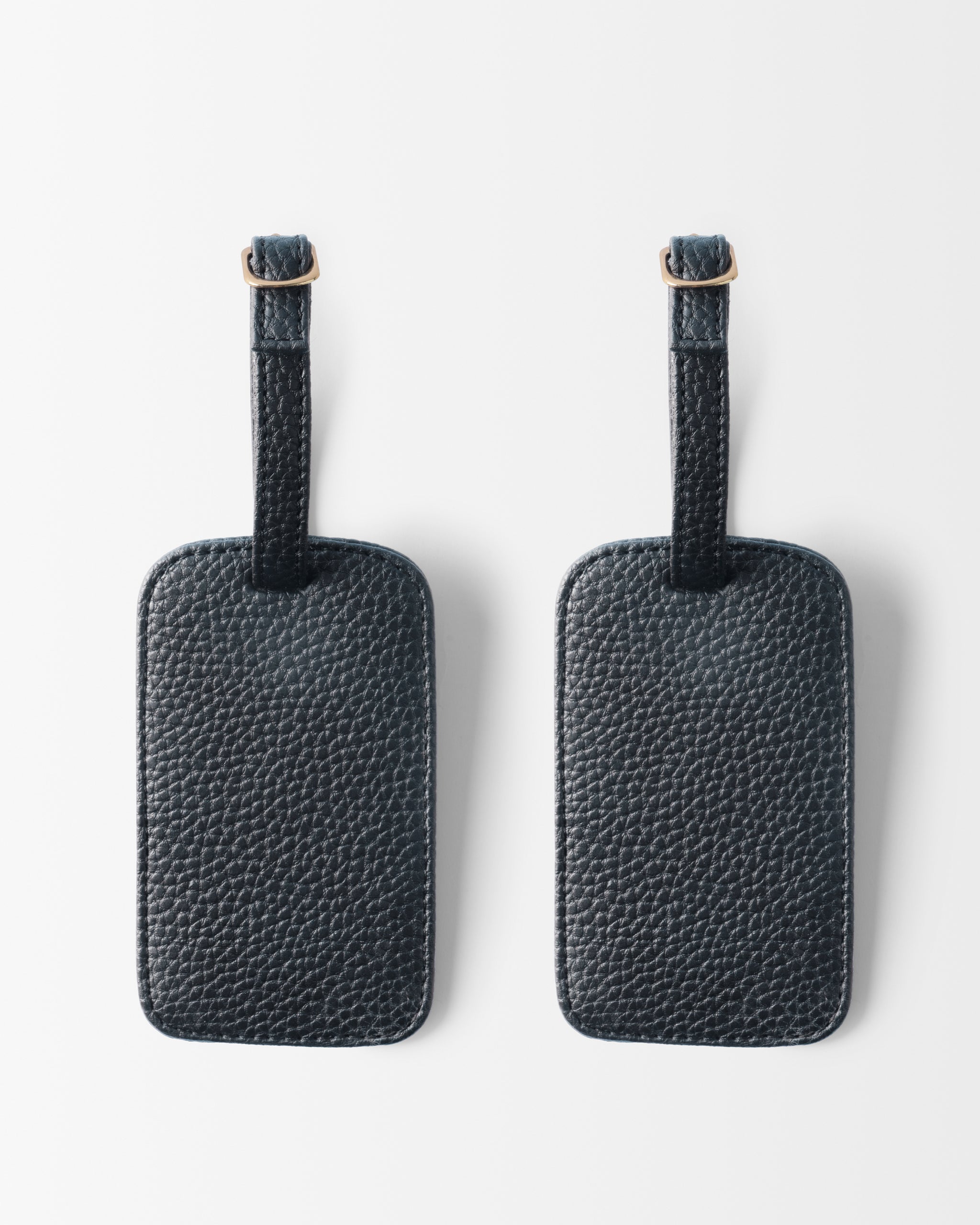 Chicago Luggage Tags