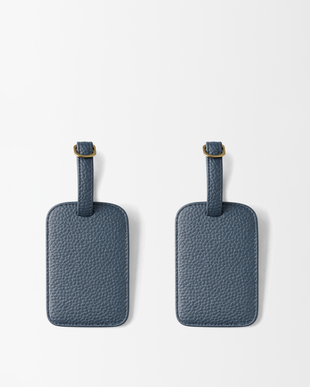 Chicago Luggage Tags
